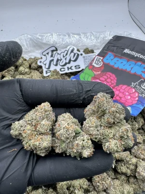 BOMPTON BERRIES