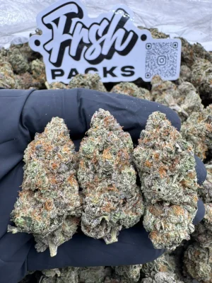BLACK CHERRY GELATO